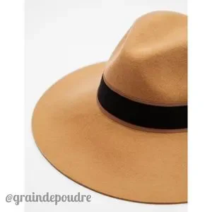 Zara | Accessories | Nib Zara Special Edition Camel Or Black  display picture 3